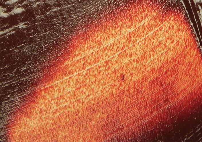 Tri-Art Oil Colours - Transparent Red Oxide (4438800957527)